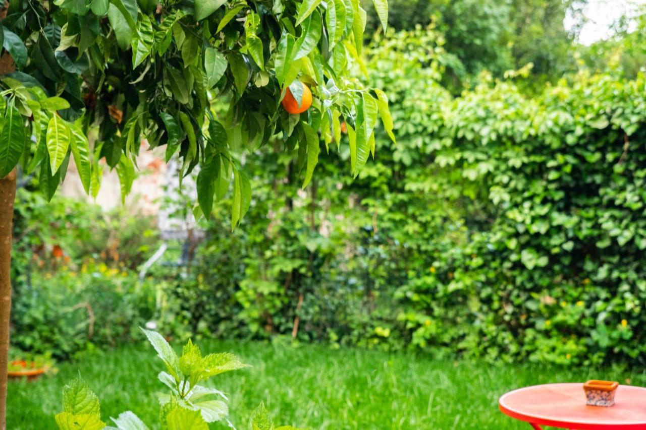 Marylou Gardenhouse Pisa Exterior foto