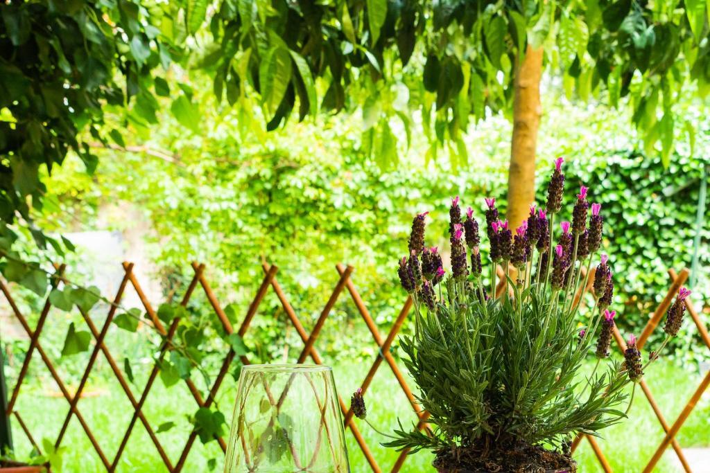 Marylou Gardenhouse Pisa Exterior foto