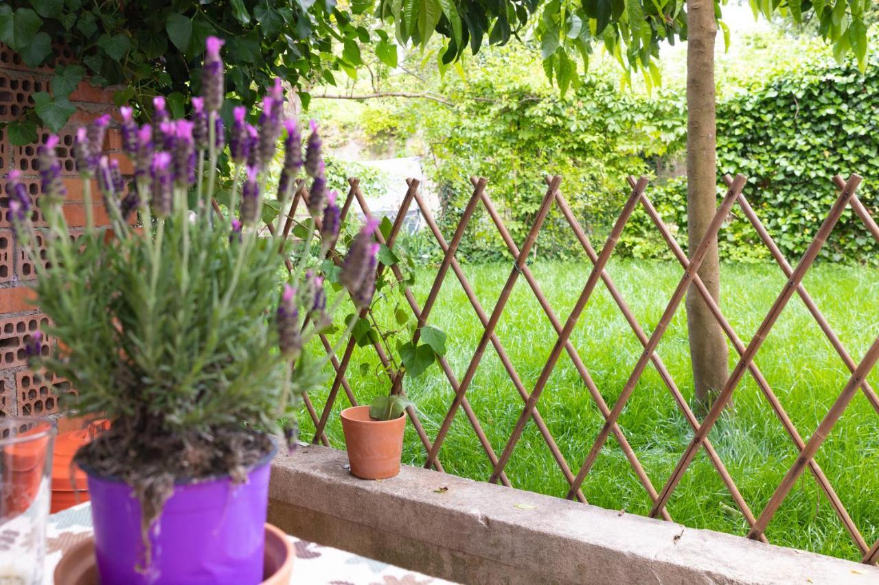 Marylou Gardenhouse Pisa Exterior foto
